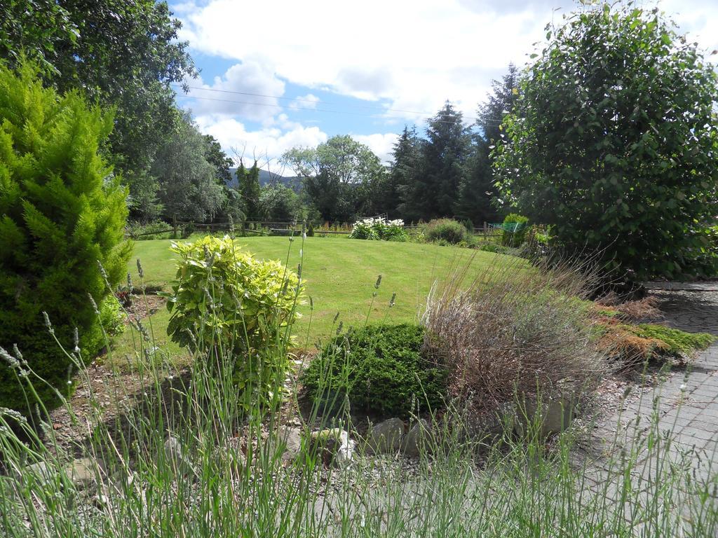 Ethan Cottage Cill Airne Esterno foto